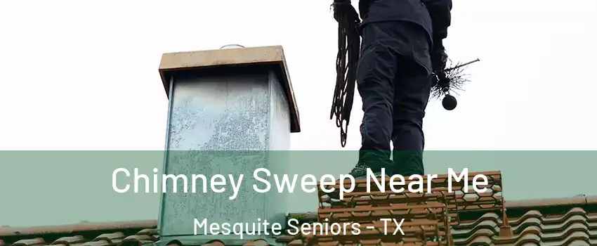 Chimney Sweep Near Me Mesquite Seniors - TX