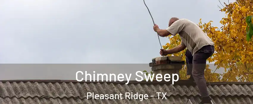 Chimney Sweep Pleasant Ridge - TX