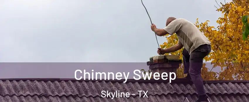 Chimney Sweep Skyline - TX