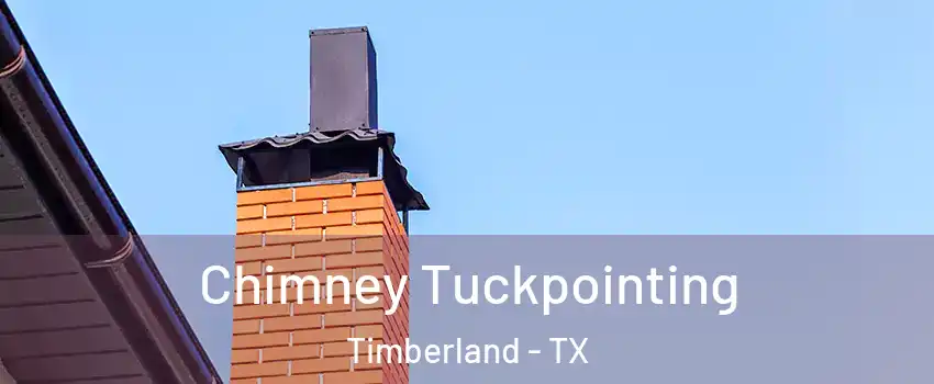 Chimney Tuckpointing Timberland - TX