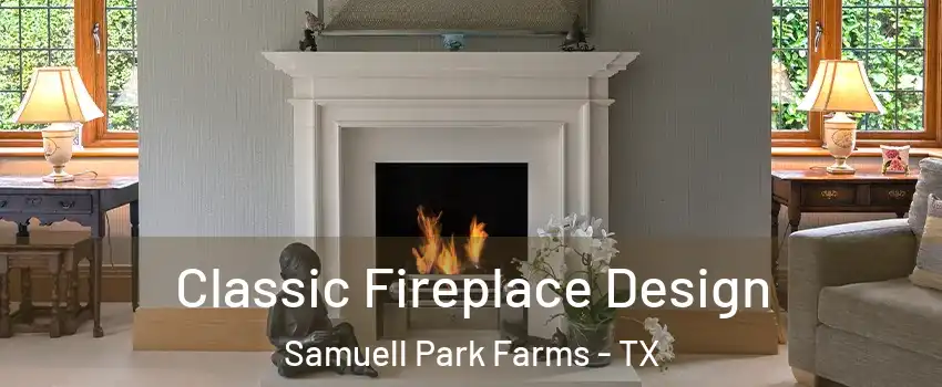 Classic Fireplace Design Samuell Park Farms - TX