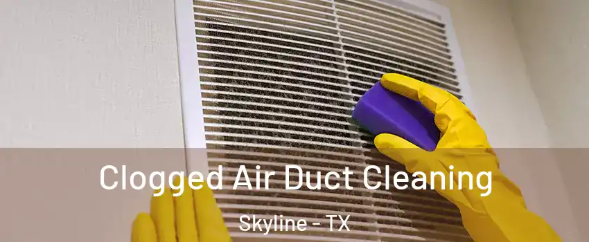 Clogged Air Duct Cleaning Skyline - TX