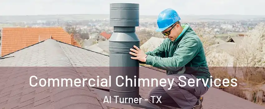 Commercial Chimney Services Al Turner - TX