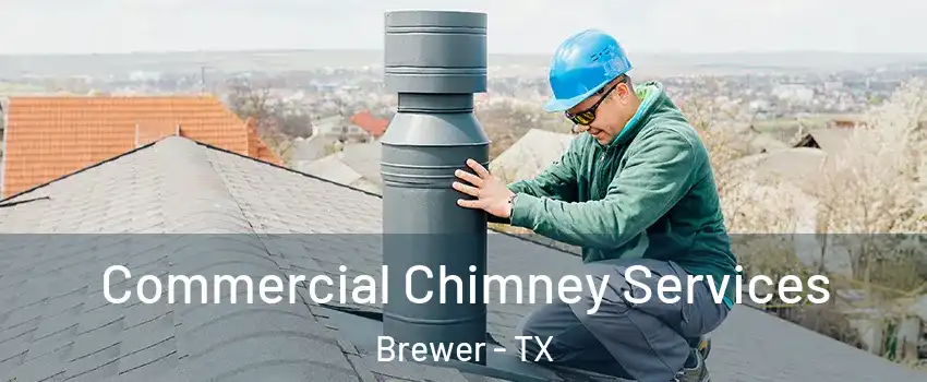 Commercial Chimney Services Brewer - TX