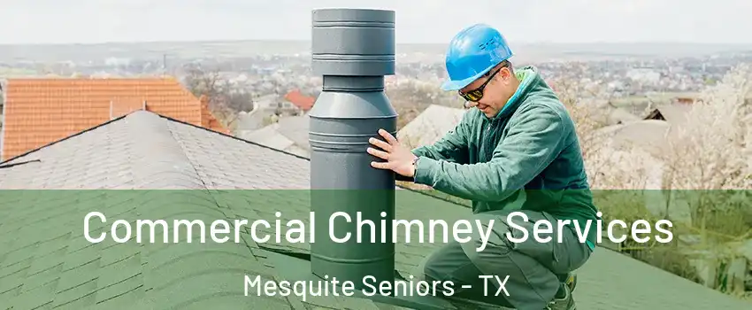 Commercial Chimney Services Mesquite Seniors - TX