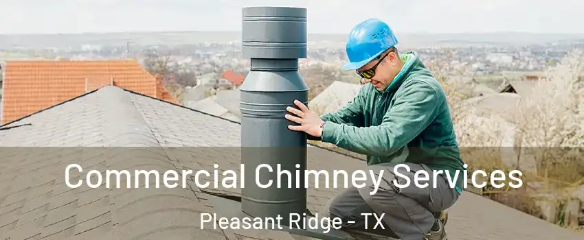 Commercial Chimney Services Pleasant Ridge - TX