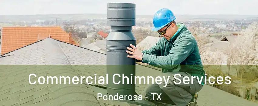 Commercial Chimney Services Ponderosa - TX