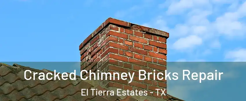 Cracked Chimney Bricks Repair El Tierra Estates - TX