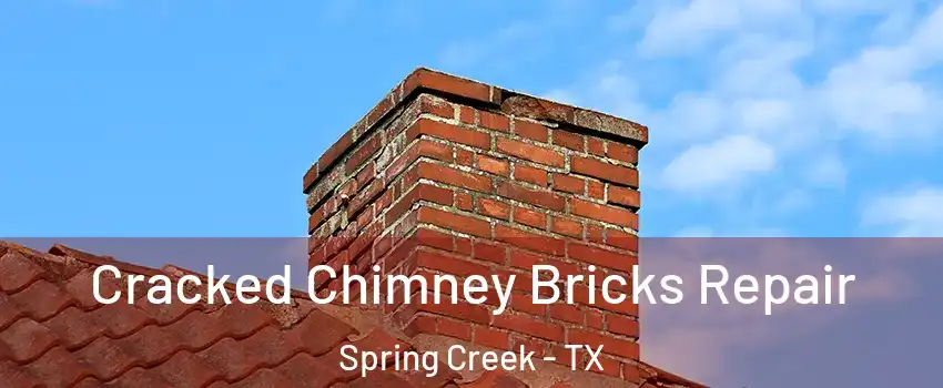 Cracked Chimney Bricks Repair Spring Creek - TX