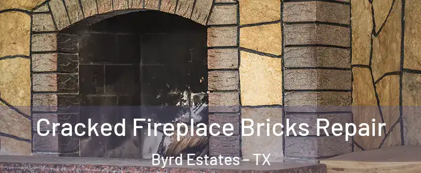 Cracked Fireplace Bricks Repair Byrd Estates - TX