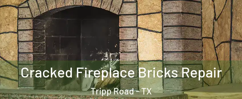 Cracked Fireplace Bricks Repair Tripp Road - TX