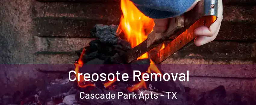 Creosote Removal Cascade Park Apts - TX