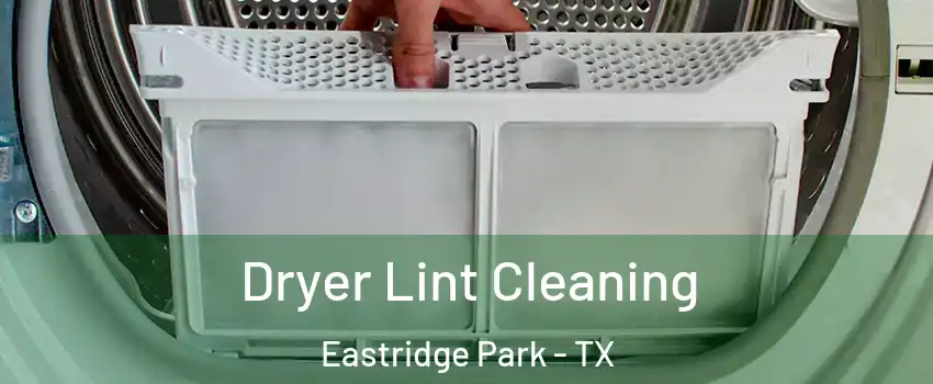 Dryer Lint Cleaning Eastridge Park - TX