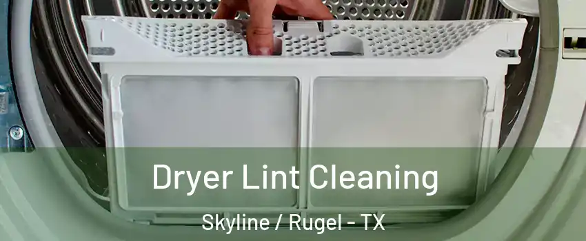 Dryer Lint Cleaning Skyline / Rugel - TX