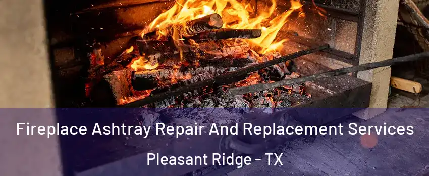 Fireplace Ashtray Repair And Replacement Services Pleasant Ridge - TX