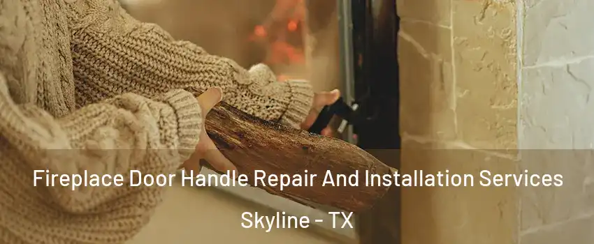 Fireplace Door Handle Repair And Installation Services Skyline - TX