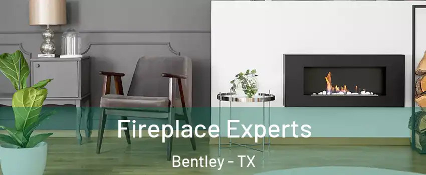 Fireplace Experts Bentley - TX