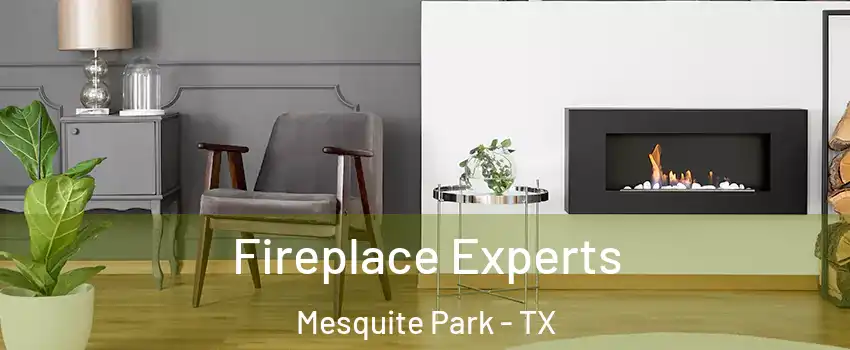 Fireplace Experts Mesquite Park - TX