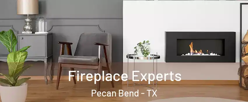 Fireplace Experts Pecan Bend - TX