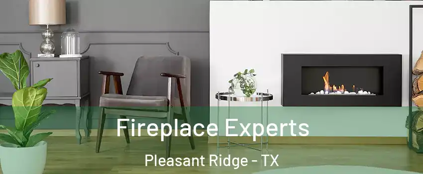 Fireplace Experts Pleasant Ridge - TX