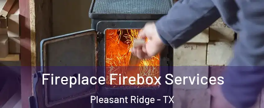 Fireplace Firebox Services Pleasant Ridge - TX