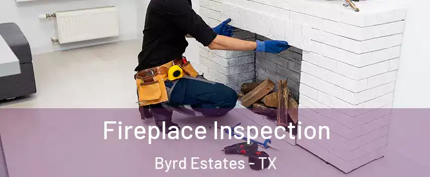 Fireplace Inspection Byrd Estates - TX