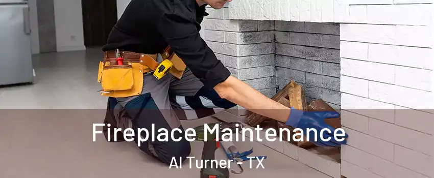 Fireplace Maintenance Al Turner - TX