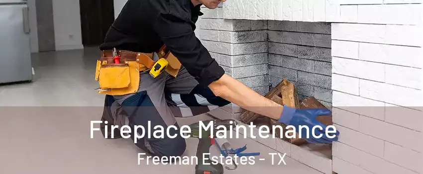 Fireplace Maintenance Freeman Estates - TX