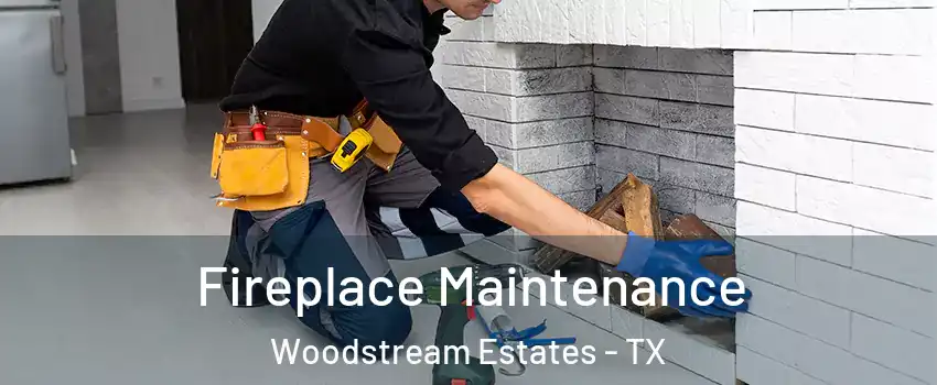 Fireplace Maintenance Woodstream Estates - TX