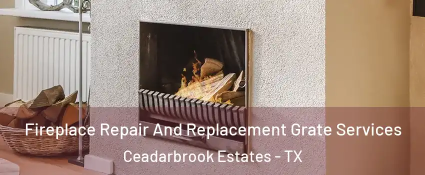 Fireplace Repair And Replacement Grate Services Ceadarbrook Estates - TX