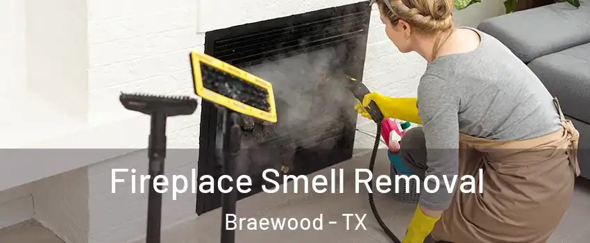 Fireplace Smell Removal Braewood - TX