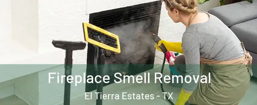 Fireplace Smell Removal El Tierra Estates - TX