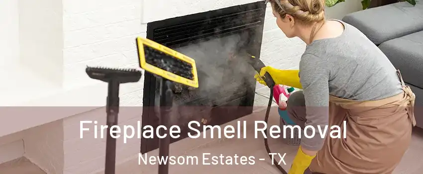 Fireplace Smell Removal Newsom Estates - TX