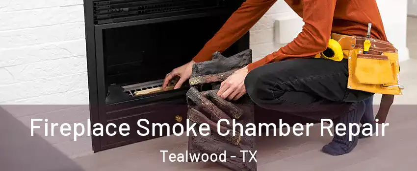 Fireplace Smoke Chamber Repair Tealwood - TX