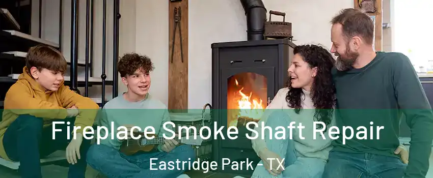 Fireplace Smoke Shaft Repair Eastridge Park - TX