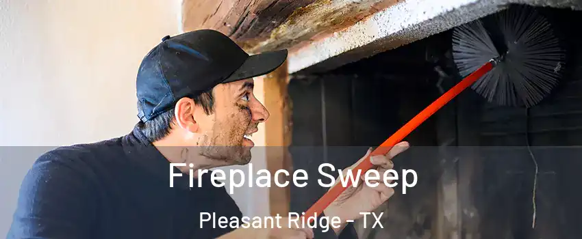 Fireplace Sweep Pleasant Ridge - TX