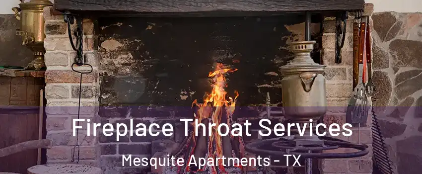 Fireplace Throat Services Mesquite Apartments - TX