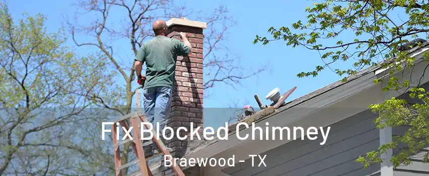 Fix Blocked Chimney Braewood - TX