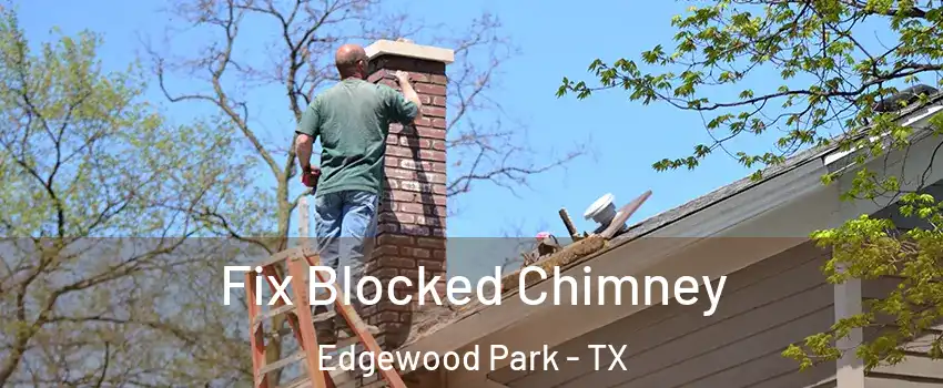 Fix Blocked Chimney Edgewood Park - TX