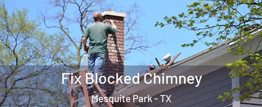 Fix Blocked Chimney Mesquite Park - TX