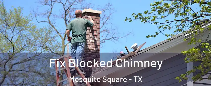 Fix Blocked Chimney Mesquite Square - TX