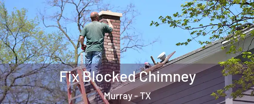 Fix Blocked Chimney Murray - TX