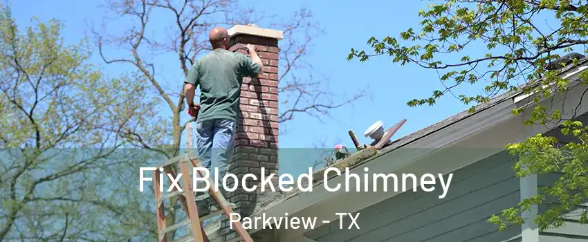 Fix Blocked Chimney Parkview - TX