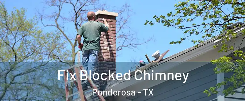 Fix Blocked Chimney Ponderosa - TX