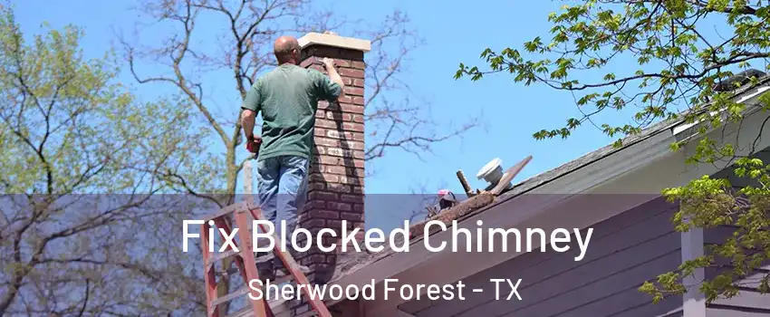 Fix Blocked Chimney Sherwood Forest - TX