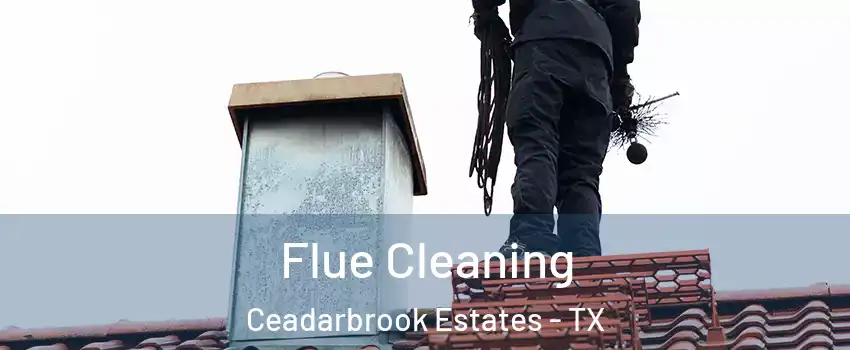 Flue Cleaning Ceadarbrook Estates - TX