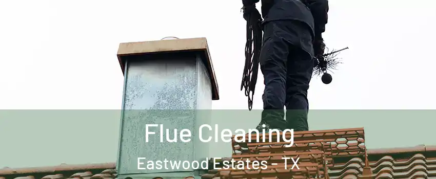 Flue Cleaning Eastwood Estates - TX