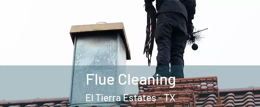 Flue Cleaning El Tierra Estates - TX