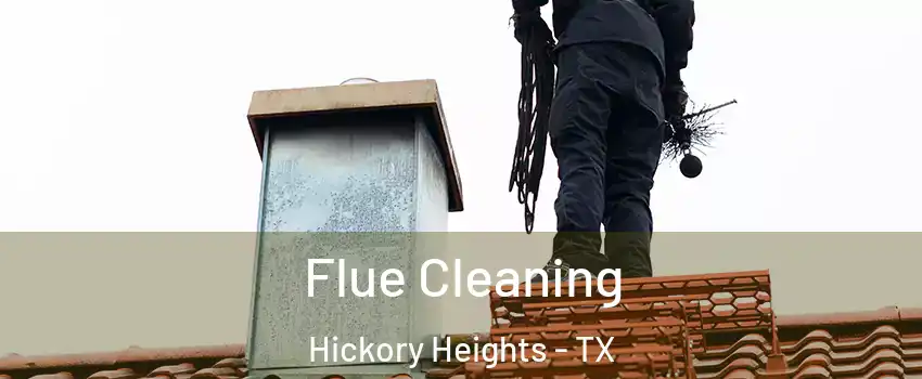 Flue Cleaning Hickory Heights - TX