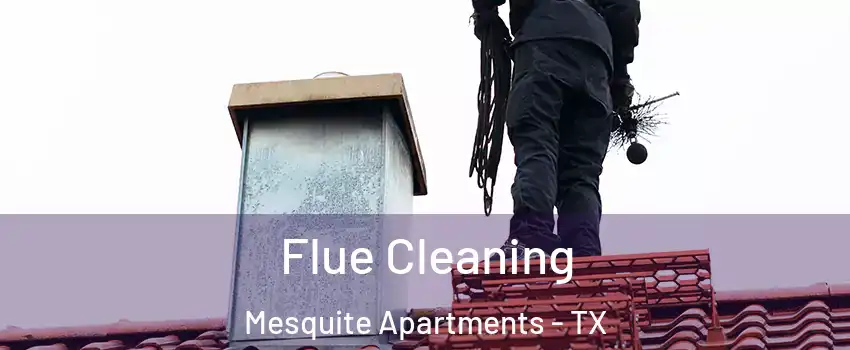 Flue Cleaning Mesquite Apartments - TX